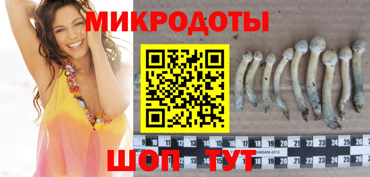 что такое   Галлюциногенные грибы мухоморы  Вход с VPN  Заринск 